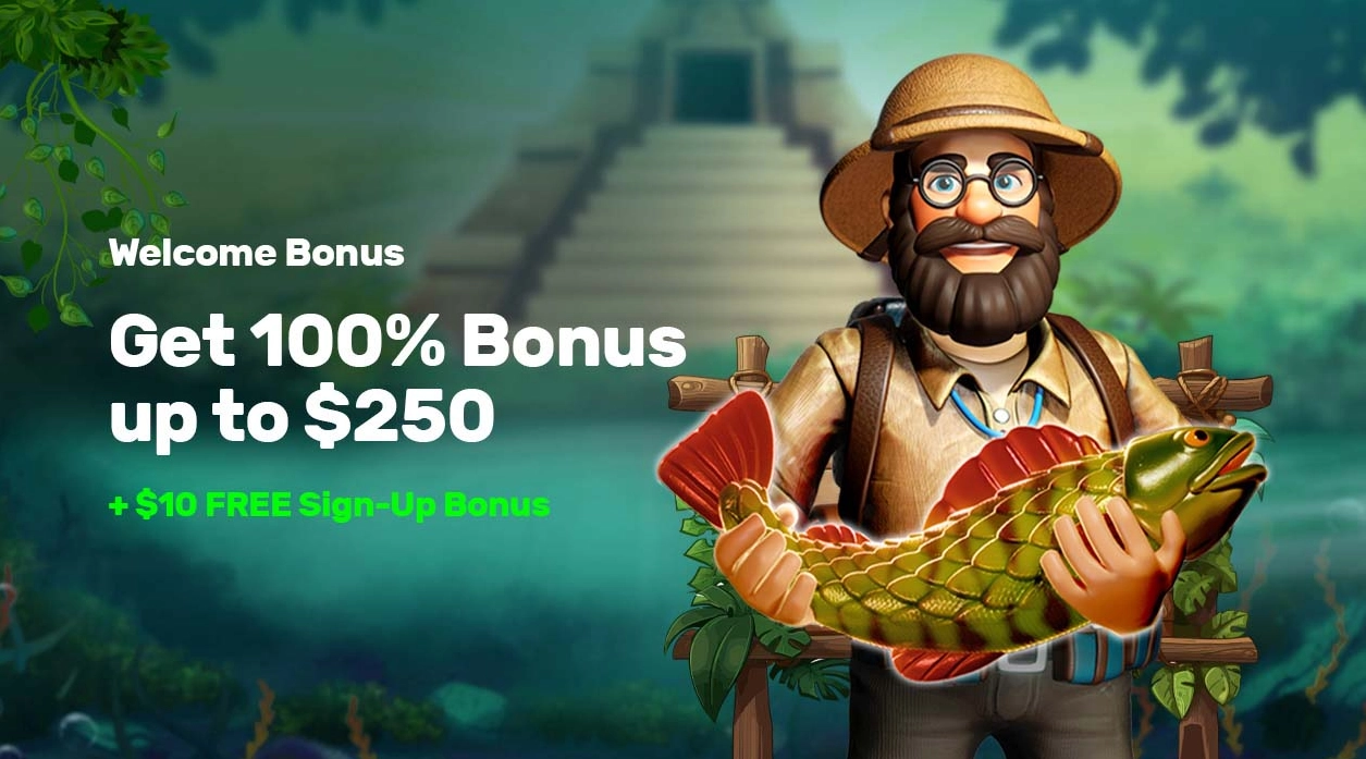 The Pokies: A Comprehensive Review of Australia’s Top Real Money Casino